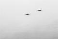 2022_10_29_Auvergne (0060)